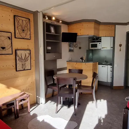 Cosy Avec Acces Direct Pistes, Vue Piste, Animaux Admis - Fr-1-181-2563 * La Plagne