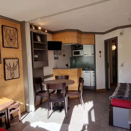 Cosy Avec Acces Direct Pistes, Vue Piste, Animaux Admis - Fr-1-181-2563 Apartmán